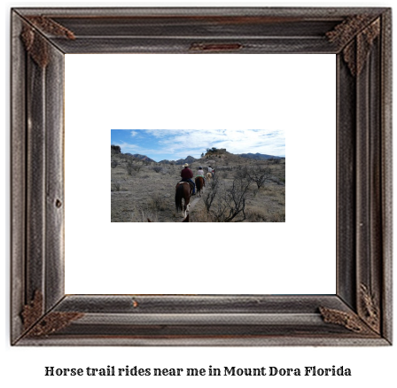 horse trail rides near me in Mount Dora, Florida